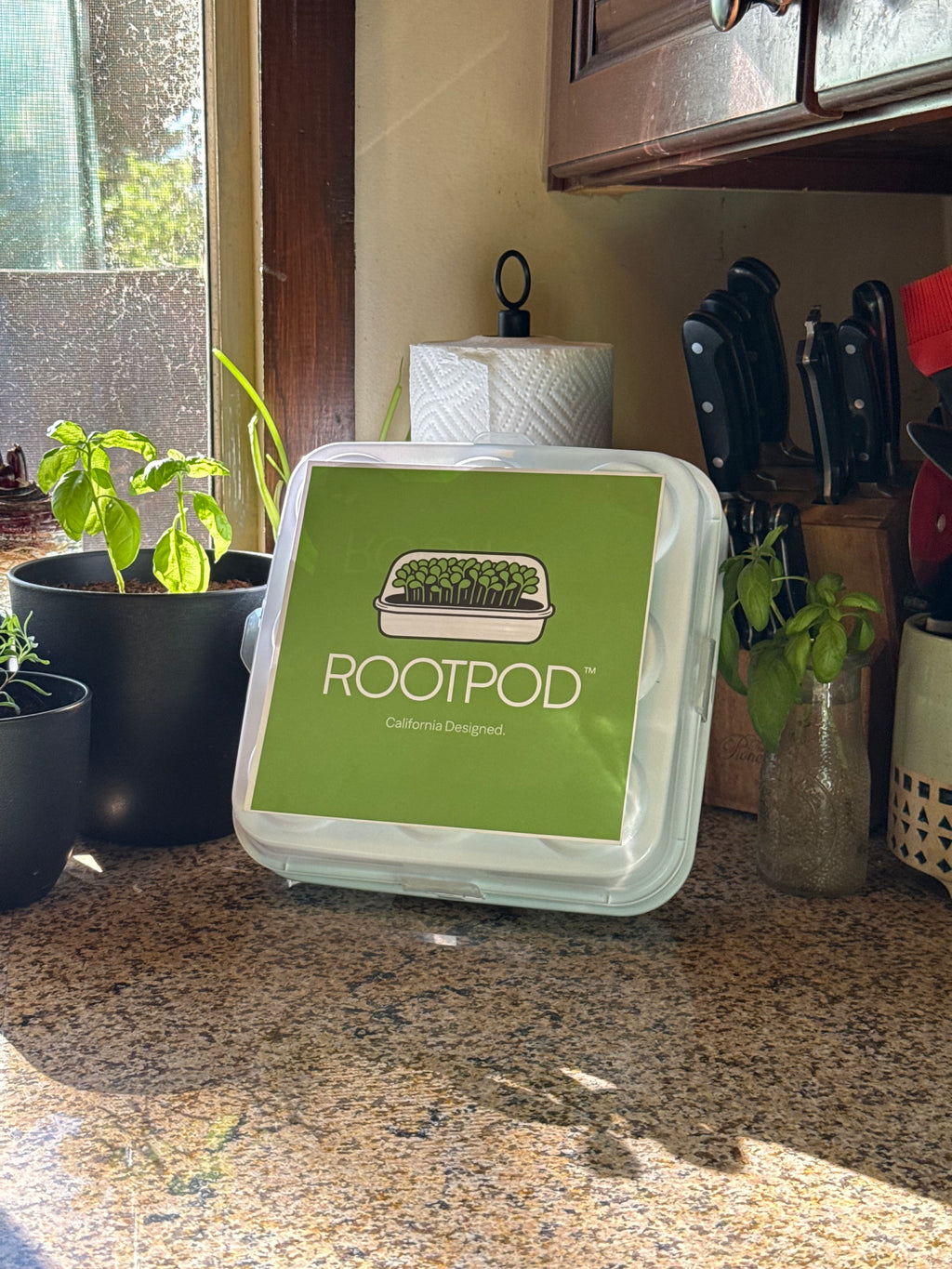 ROOTPOD Gift Campaign