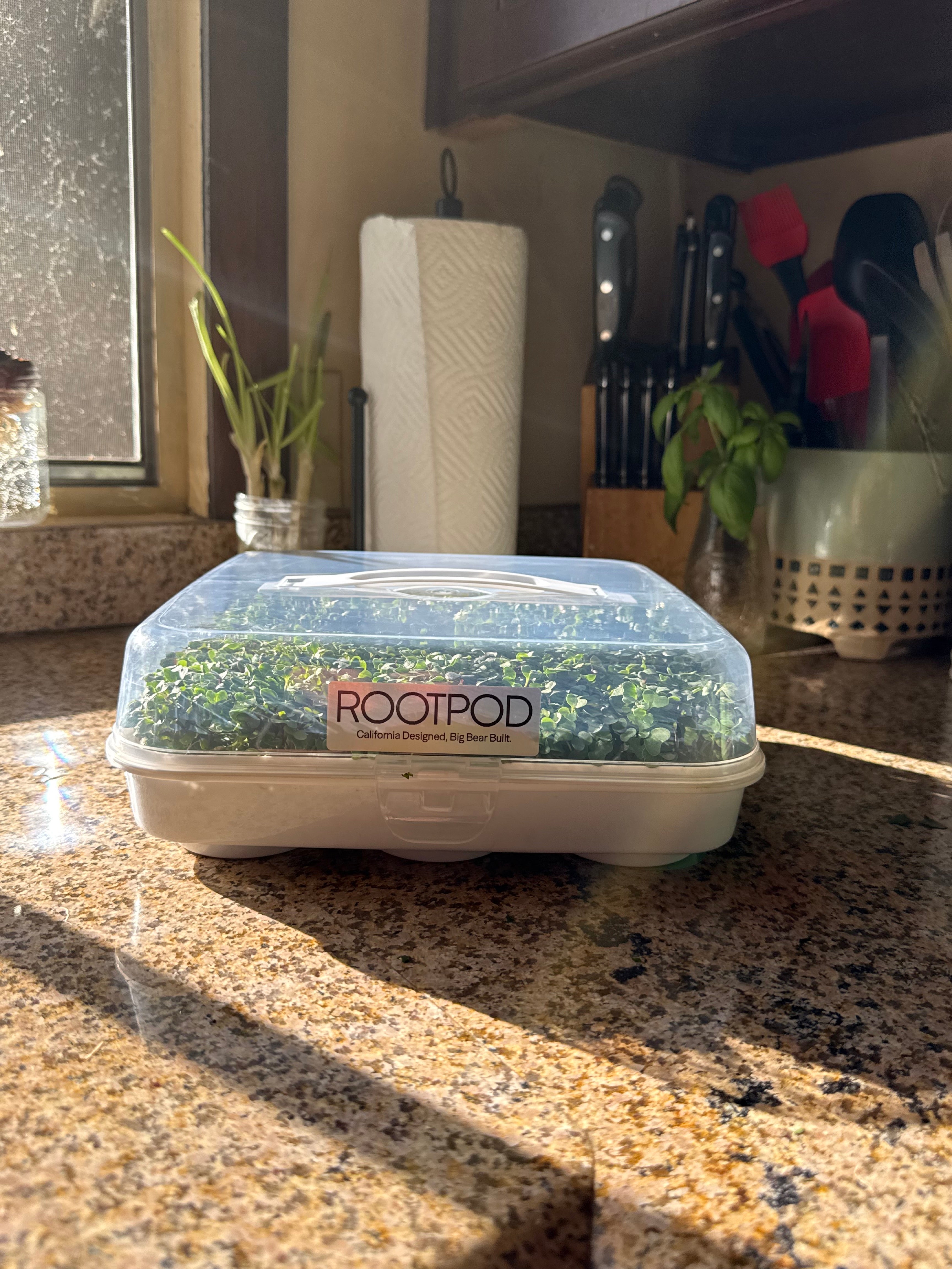 ROOTPOD Gift Campaign